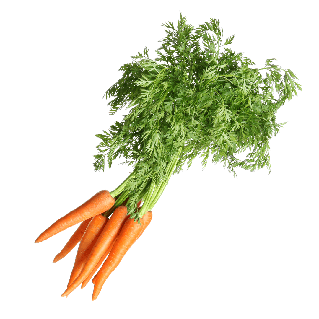 Marchew mloda. 6,90 zl/peczek