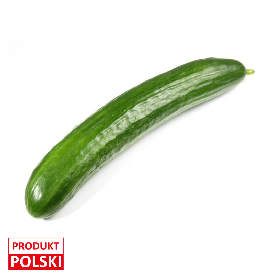 Ogorek szklarniowy - na sztuki. 4,70 zl/szt.